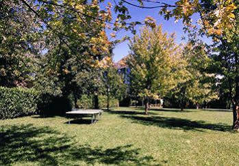 & Loisir Le Ruote 4* Roveleto